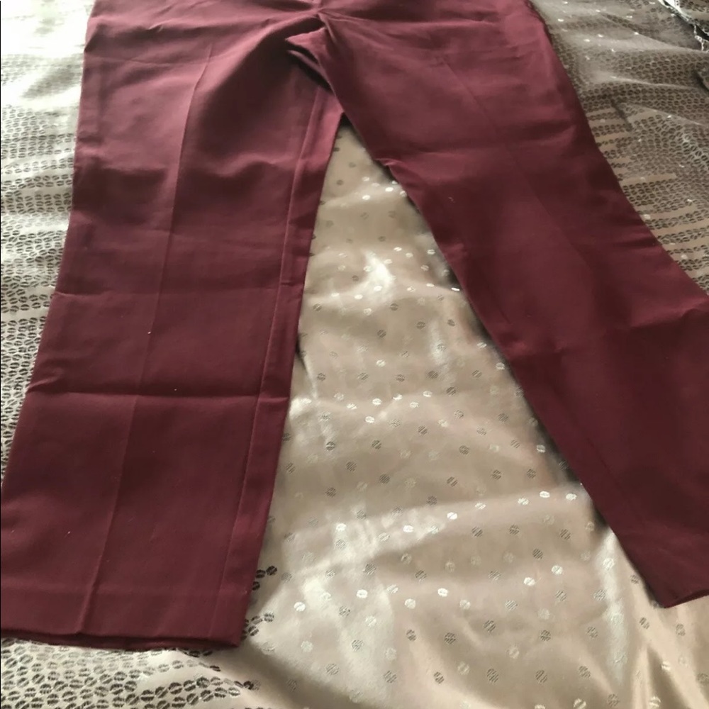 METAPHOR BI STRETCH PANTS Size 16